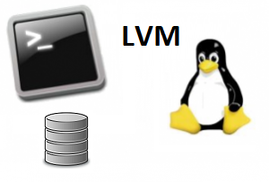 Agrandir l’espace disque d’une machine virtuelle en LVM
